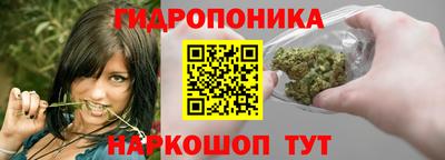 гидра Абакан