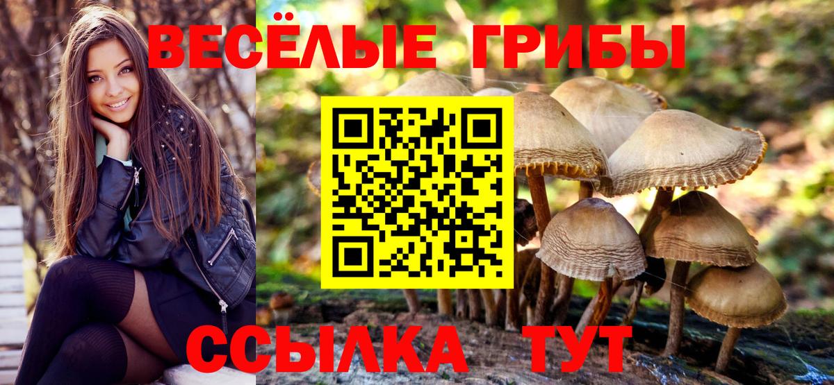 Псилоцибиновые грибы мухоморы Амурск